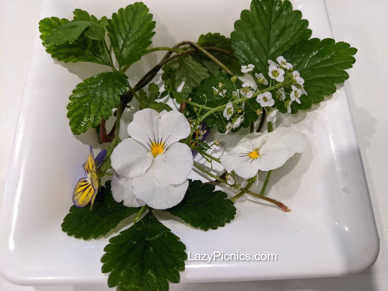 Flowers and leaves ready to decorate the cake.