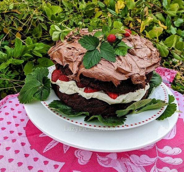 Picnic CakeVery Rich