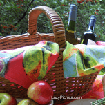 Empty picnic basket... ready to fill.