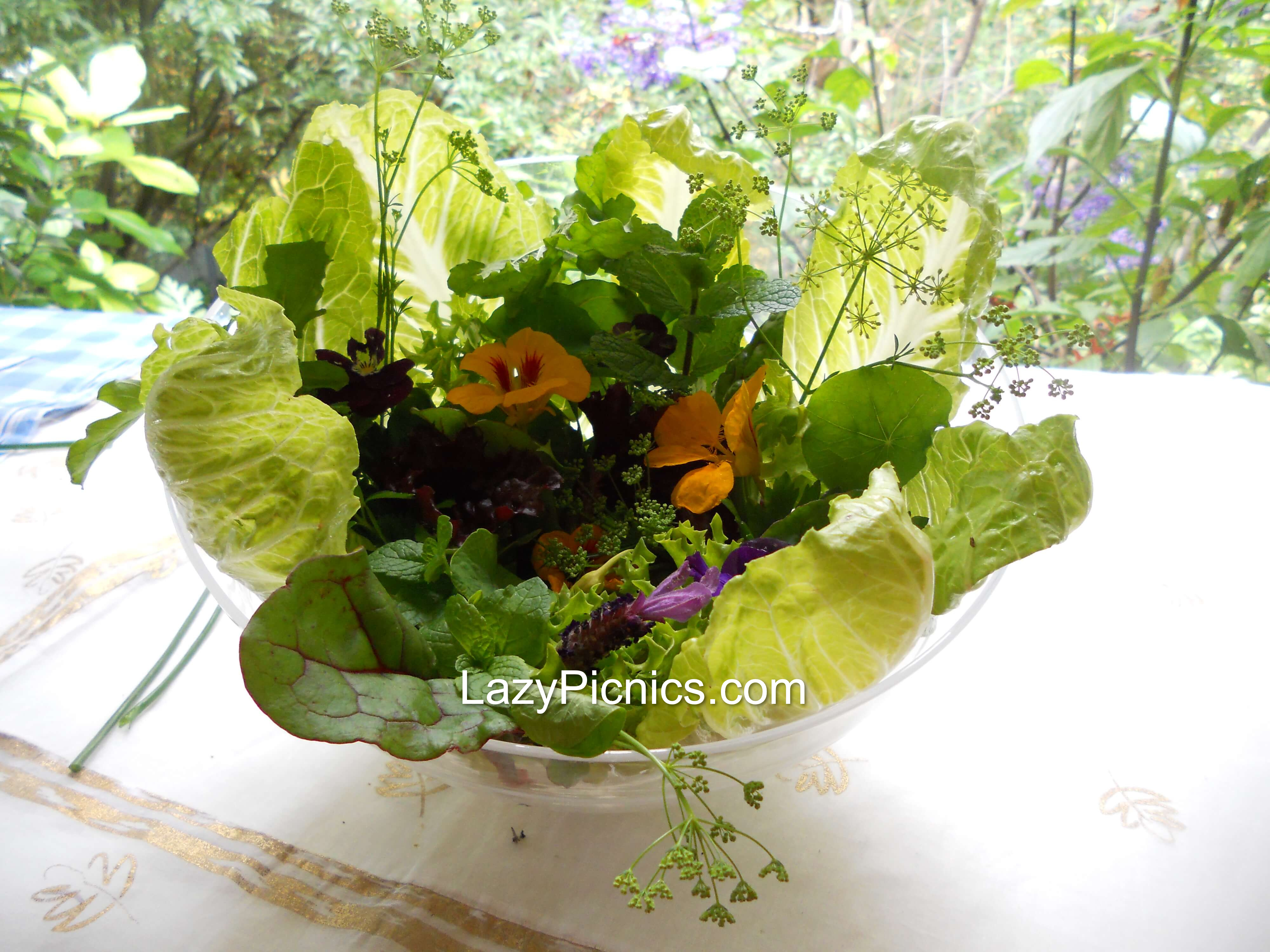 Crunchy green salad with herbs and flowers.