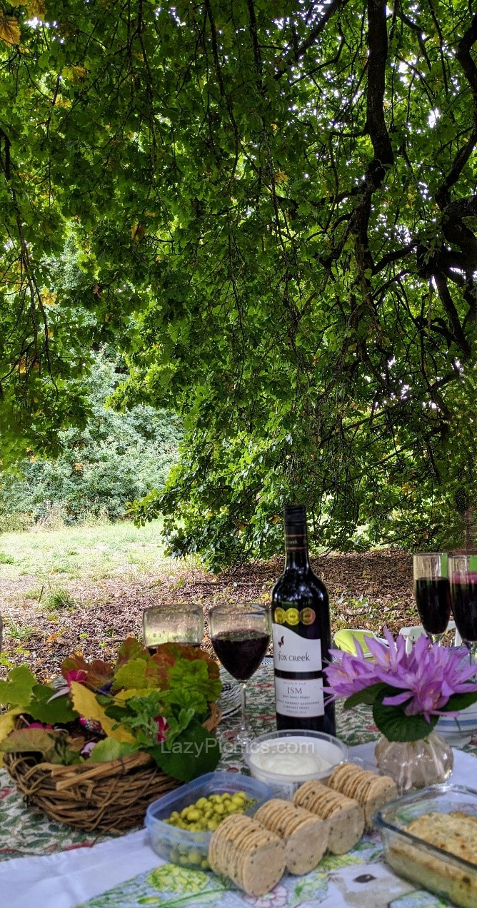 picnic under an oak tree